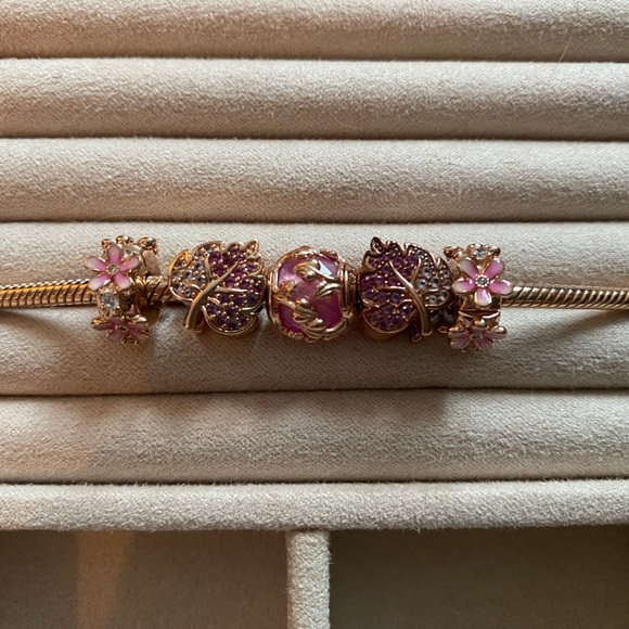 Pandora Rose Gold Fall Bracelet - Picture 4 of 8